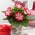 Gloxinia "Tigrinia Red" - weiß-rote, gesprenkelte Blüten; Canterbury Glocken, echte Gloxinia - 