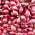 Taze soğan Kırmızı Baron - 0,5 kg - 
