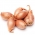 Vasarinis svogūnas - askaloniniai česnakai - 10 kg; žalias svogūnas, eschalot