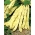 Fižol „Goldmarie“ - široki stroki - 100 g -  Phaseolus vulgaris - semena