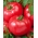 Малиновий поле помідор 'Фаворит' - плоди масою до 0,5 кг - 10 г -  Lycopersicon esculentum Mill - насіння