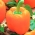 Tatlı portakal 'Etüt' biberi - 10 g -  Capsicum annuum - tohumlar