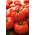 Tomate 'Jutrosz' - frühe, Zwerg Freilandtomate sehr produktive Sorte, perfekt für Saft 