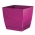 Square flower pot with saucer - Coubi - 10 cm - Fuchsia