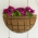 Žičana košarica za cvijeće - zidna - 35 cm - 