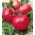 Tomat "Maliniak" - bidang, varietas raspberry dengan batang kaku - Lycopersicum esculentum  - biji