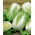 Couve - chinesa - Forco F1 - 215 sementes - Brassica pekinensis Rupr.