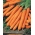 Carrot "Cidera" - แครอทชนิด Nantes สำหรับเก็บรักษา - 2550 เมล็ด - Daucus carota ssp. sativus 