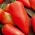 الطماطم "ديس Andes" - القرن الثور ، متنوعة سمين - Lycopersicon esculentum Mill.  - ابذرة