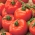 Pomidoras - Orkado F1 - Lycopersicon esculentum Mill  - sėklos