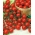 Hạt giống Red Cherry Cherry Tomato - Lycopersicon lycopersicum - 480 hạt - Lycopersicon esculentum Mill 