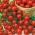 Семе црвеног високог чери Томато Покуса - Лицоперсицон лицоперсицум - 480 семена - Lycopersicon esculentum Mill 