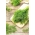 Koper "Smaragd" - najboljša sorta - PREMAZSKO SEME - 300 semen - Anethum graveolens L. - semena