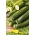 Zucchini "Zuboda" - skorá odroda - 16 semien - Cucurbita pepo  - semená
