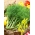 Копър "Спринтер" - 2800 семена - Anethum graveolens L.
