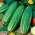 Польовий салат огірок Делікатес - 