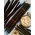 Zwarte schorseneren "Hoffmanns Schwarze Pfahl"; Spaanse schorseneren, zwarte oesterplant, slangenwortel, adderkruid, addergras, scorzonera - 