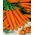 Carrot Berlikumer 2 - Berlo - μεσαία όψιμη ποικιλία - 
