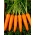 Морковь Фламанка - поздний сорт - 