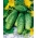 Field cucumber Hermes Skierniewicki F1 - SEED TAPE