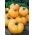 طماطم "جانتار" - NANO-GRO - زيادة حجم الحصاد بنسبة 30٪ - 
