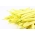 Haricot nain "Golden Saxa" - NANO-GRO - augmentation du volume de récolte de 30%