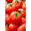 Lauko pomidoras Sycamore - ankstyva, skani, švelni veislė - 