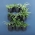 Pots muraux pour la culture des plantes en cascade - jardin vertical - Cascade Wall - gris anthracite - 
