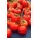 گوجه فرنگی Rumba Ozarowska - انواع اولیه - بذرهای پوشیده شده - 