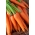 Carrot 'Aneta F1' - calibrated (1.8 - 2.0) 25000 seeds - professional seeds for everyone