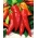 Pepper 'Sharon F1' - 100 seeds - professional seeds for everyone