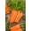 Porkkana 'Knota F1' -kalibroidut (1,8 - 2,0) 25000 siementä - ammattimaiset siemenet kaikille - 