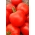 Tomato 'Palava F1' - 250 semen - profesionální semena pro každého - 