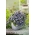 Сербські дзвіночки, блакитні насіння водоспаду - дзвоник позчарськана - 480 насіння - Campanula poscharskyana
