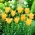 Tulipano con foglie di lino, ciondolo in bronzo tulipano Bokhara - confezione grande! - 50 pezzi