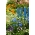 Long Life Meadow - ilgaamžė, patvari gėlių pieva - 500 g - 