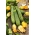 Lajkonik courgette, zucchini - 100 grams