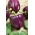 Loran paprika - lilla sort kasvuhoones ja põllul kasvatamiseks - 