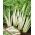 Acelga Amarilla de Lyon 2 BIO - verde con pecíolos blancos - semillas orgánicas certificadas; mangold, hoja de remolacha - 