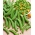 Pois Mangetout - Ambrosia - 300 graines - Pisum sativum