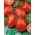 Rio Grande BIO tomaatti - Kmicic-tyyppinen lajike, säilykkeiden valmistukseen - sertifioidut luomu siemenet - 