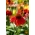 Sombrero Salsa Rode zonnehoed - felrode bloemen - 1 st - 
