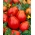 Tomate - Red Pear - 120 semillas - Lycopersicon esculentum Mill