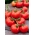 Rajčata "Luban" - pole, živě červená odrůda bez PIÊTKY - Lycopersicon esculentum Mill  - semena