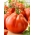 Pomidoras - Or Pera d'Abruzzo  - Lycopersicon esculentum Mill  - sėklos