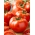 گوجه فرنگی "Tolek" - میوه بزرگ، می توان بدون بلانچ کردن پوست کنده - Lycopersicon esculentum Mill  - دانه