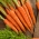 "Afalon F1" морков-калибриран (1.6 - 1.8) 100 000 семена - професионални семена за всеки - 