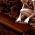 茶色の防草フリース（アグロテキスタイル）-マルチ用-3.20 x 10.00 m - 
