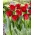 Rød kjole tulipan - XXXL pakke 250 stk