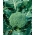 Broccoli - Limba - 300 frön - Brassica oleracea L. var. italica Plenck